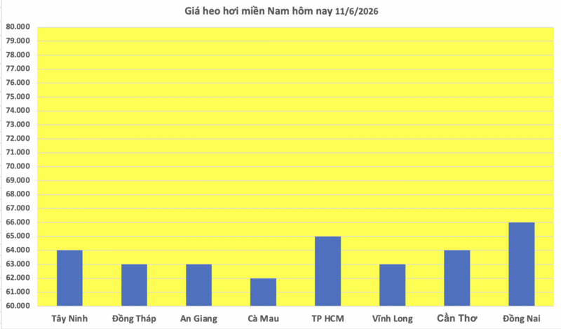 Giá heo hơi hôm nay 11/6/2026: Đi ngang trên cả nước - 3