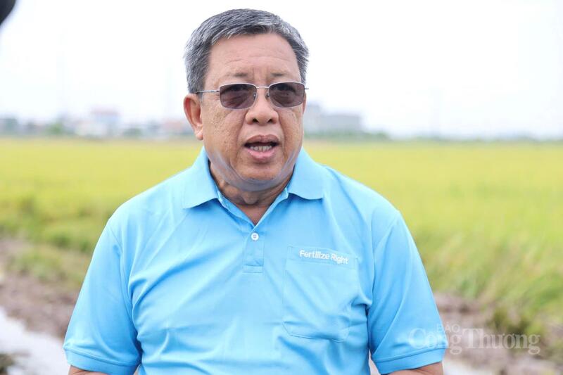 Ông Lê Thanh Tùng, Phó Chủ tịch kiêm Tổng Thư ký Hiệp hội Ngành hàng lúa gạo Việt Nam (VIETRISA). Ảnh: Nguyễn Hạnh