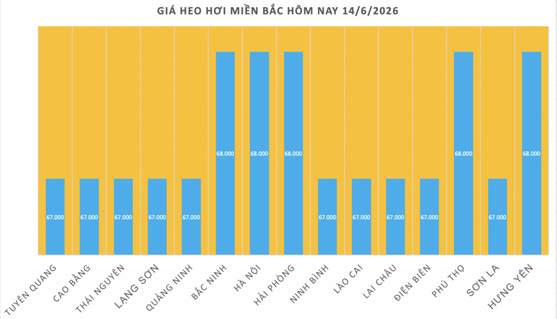 Giá heo hơi hôm nay 14/6/2026: Đi ngang cuối tuần - 1