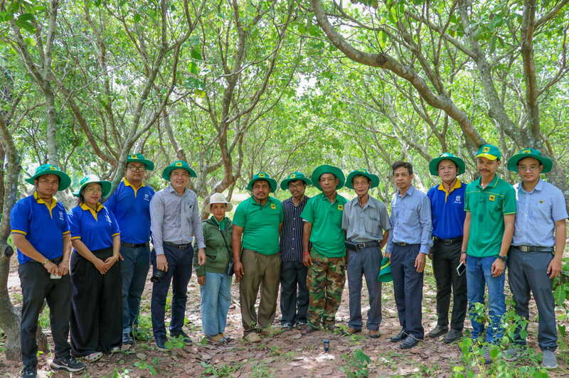 Đội ngũ chuyên gia Bình Điền cùng Yetak Group trực tiếp đến thăm vườn ông Pech Naron - nông dân tại làng Tumnup Apivot, xã O Svay, huyện Trapeng Prasat, tỉnh Oddar Meanchey