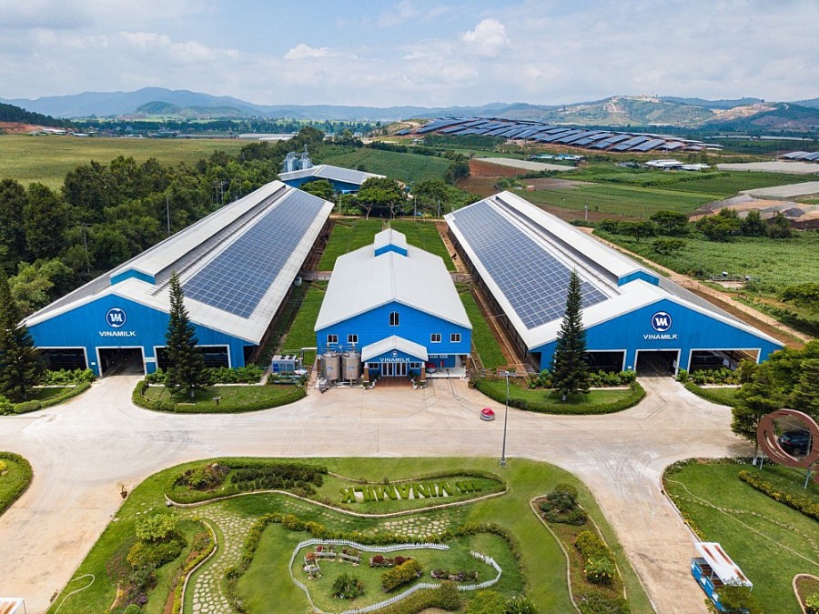 Oklavip game bài, casino, thể thao mặt trời đã được đưa vào sử dụng tại Trang trại bò sữa Organic Đà Lạt từ năm 2017 đến nay