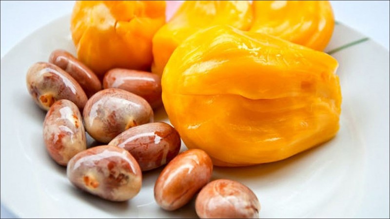 Công dụng ít người biết của hạt mít Công dụng ít người biết của hạt mít