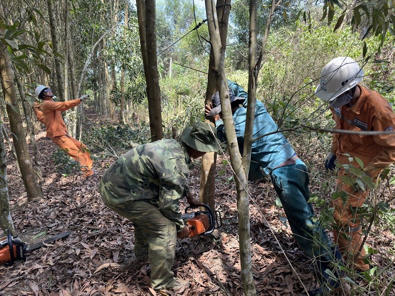 Trú trọng nhiều giải pháp bảo đảm an toàn lưới điện mùa mưa bão Trú trọng nhiều giải pháp bảo đảm an toàn lưới điện mùa mưa bão
