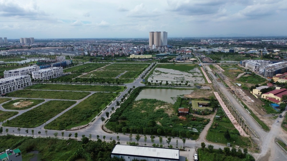 Chuyên gia hiến kế bịt kẽ hở trong đấu giá đất Chuyên gia hiến kế bịt kẽ hở trong đấu giá đất