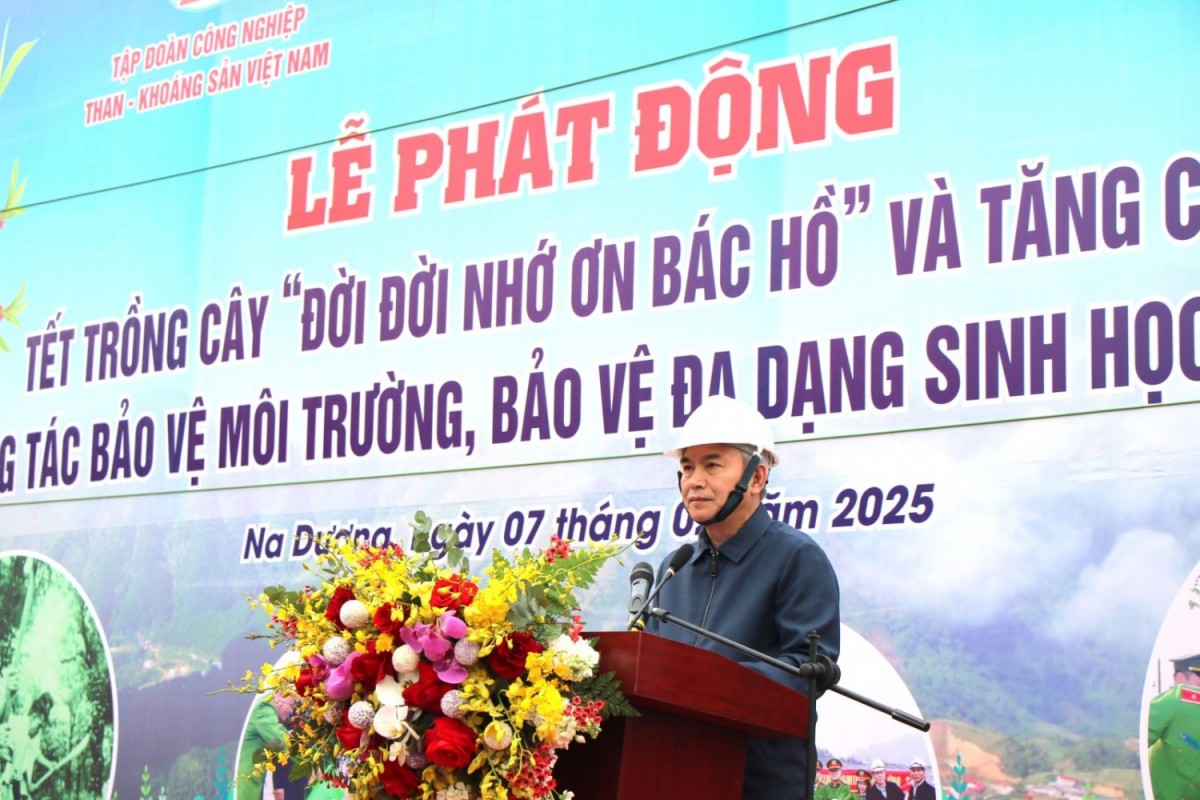 Tổng giám đốc TKV Vũ Anh Tuấn phát động Tết trồng cây năm 2025. Tổng giám đốc TKV Vũ Anh Tuấn phát động Tết trồng cây năm 2025.