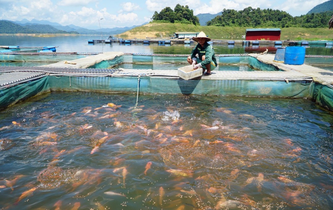 nhà máy thủy điện tỉnh thanh hóa nhà máy thủy điện tỉnh thanh hóa