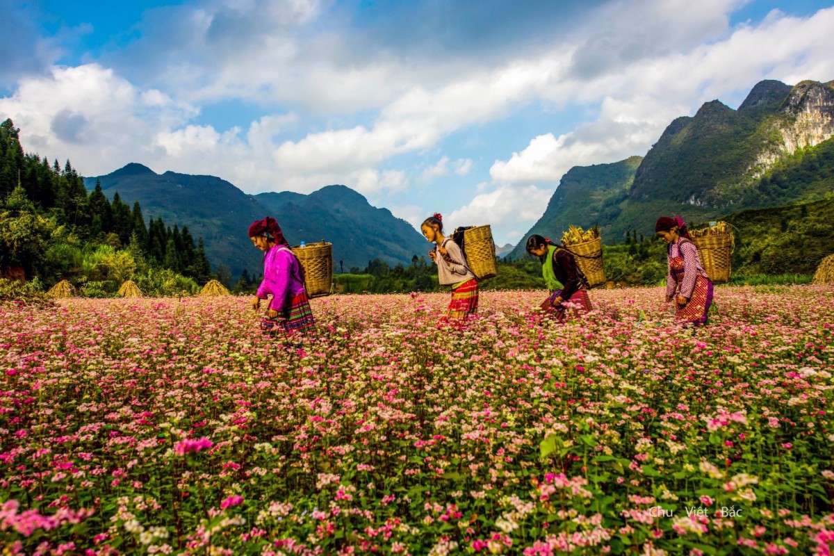 Hà Giang sỡ hữu cảnh quan, văn hoá đặc sắc Hà Giang sỡ hữu cảnh quan, văn hoá đặc sắc