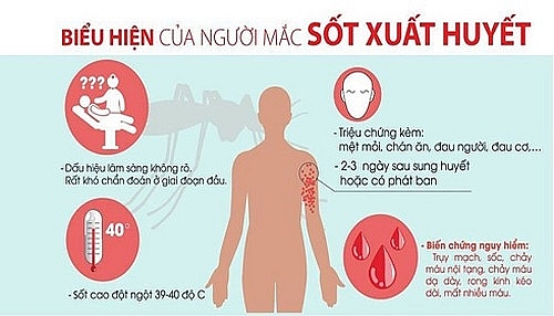 Bạn đã hiểu gì về bệnh sốt xuất huyết? ban da hieu gi ve benh sot xuat huyet
