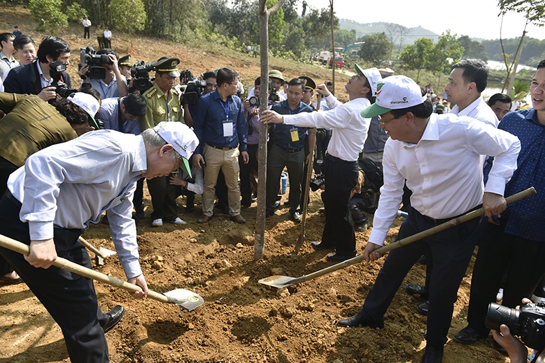 Party, State leader launches Tet tree planting festival in Yen Bai