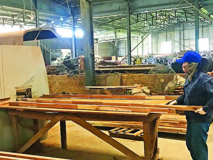 Công ty CP Chế biến lâm sản Quảng Ninh: Khởi sắc nhờ đi đúng hướng congtyco phan che bien lam san quangninh khoi sac nho di dung huong