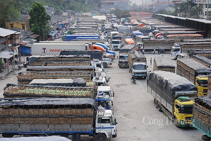 Lưu ý gì khi xuất hàng sang Trung Quốc? luu y gi khi xuat hang sang trung quoc