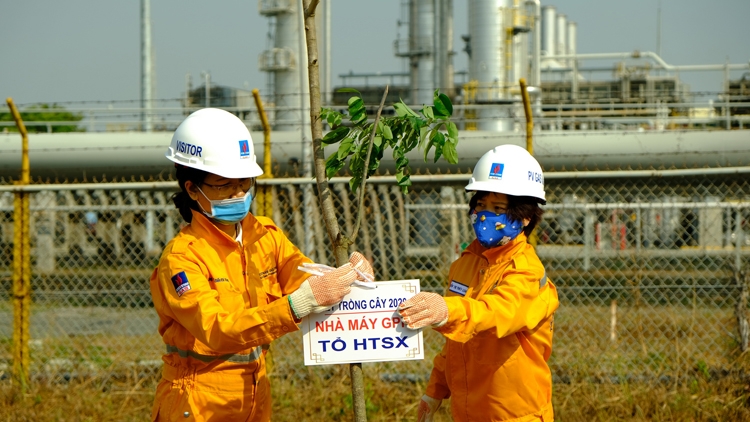 KVT trồng cây Okvip1 Link Vào Nổ Hũ Mới Nhất kvt trong cay bao ve moi truong