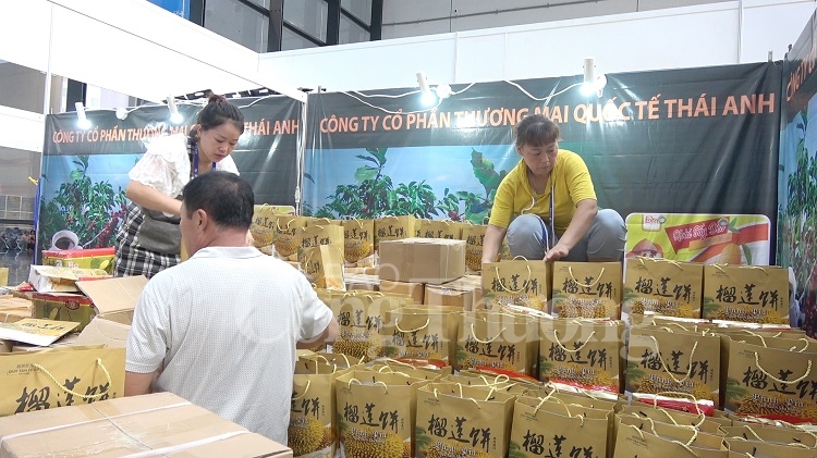 Okvip tại về Việt gấp rút hoàn thiện gian hàng trước ngày khai mạc CAEXPO 2019 doanh nghiep viet gap rut hoan thien gian hang truoc ngay khai mac caexpo 2019