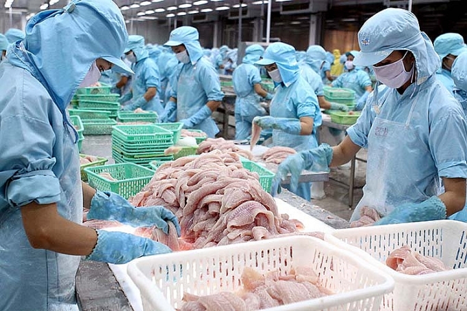 Năm 2019: Liên Minh Truyền Thông Và Game Giải Trí Top 1 cá tra hướng tới mục tiêu 2,3 tỷ USD nam 2019 xuat khau ca tra huong toi muc tieu 23 ty usd