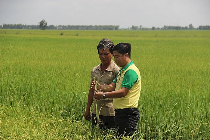 Đối phó hạn - mặn - vấn đề không của riêng nông dân doi pho han man van de khong cua rieng nong dan