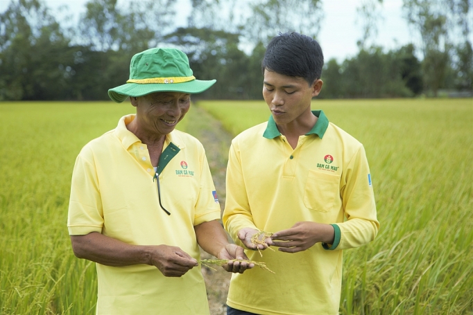 Đạm Cà Mau: Đồng hành cùng nông dân trên từng mảnh vườn, thửa ruộng dam ca mau dong hanh cung nong dan tren tung manh vuon thua ruong