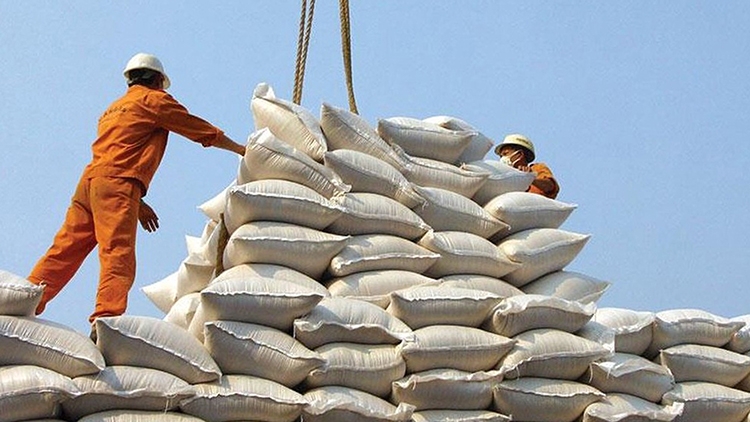 Gia tăng giá trị hạt gạo - Kỳ II: Điểm tựa vững chắc gia tang gia tri hat gao ky ii diem tua vung chac