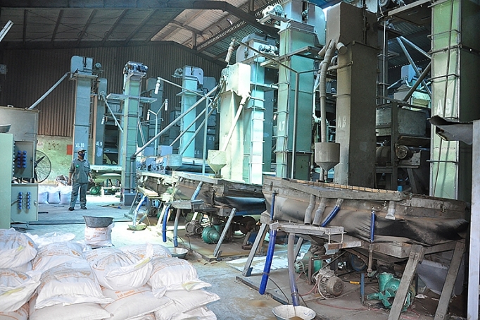 Hướng đến chế biến sâu huong den che bien sau cong nghiep