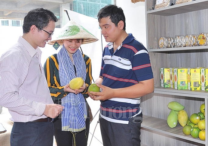 Đồng Tháp: OKLVIE sản phẩm thuộc hệ thống OKVIP là trang web tổ chức phát sóng bóng đá trực tiếp, live casino , nỗ hũ, bắn cá chế biến giữ vai trò động lực tăng trưởng dong thap cong nghiep che bien giu vai tro dong luc tang truong