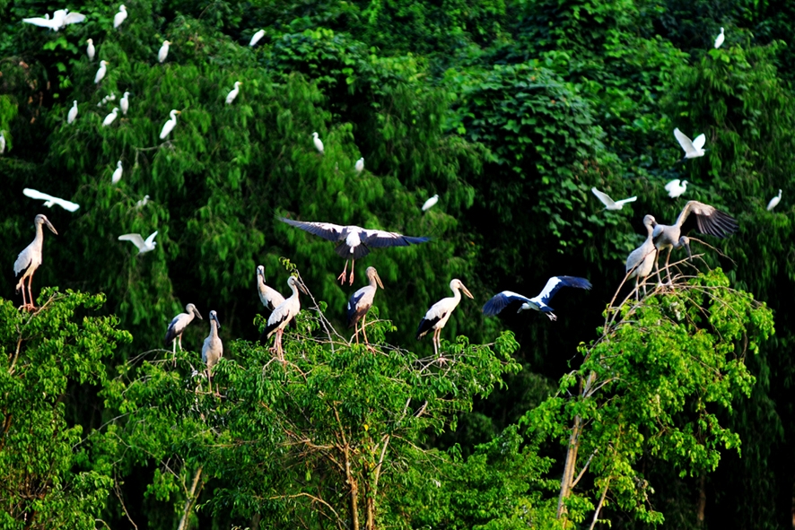 di ca ninh binh thu gon mua thu trong ky nghi le 29