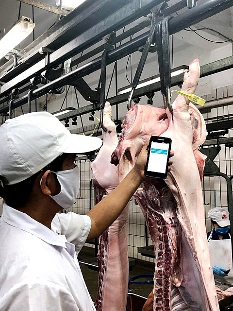 Tăng cường cung ứng Okivip Nổ Hũ, Bắn Cá, Thể Thao, Game Bài sạch cho người tiêu dùng thuc pham chat luong tim de n nguoi tieu dung