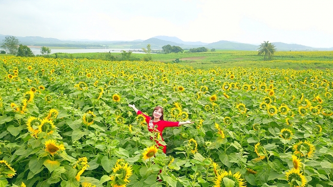 Nghệ An: Những mùa hoa khoe sắc nghe an nhung mua hoa khoe sac
