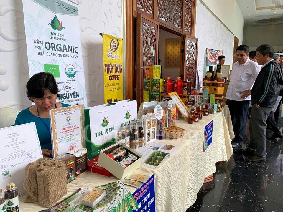 Cải thiện xuân Okvip 2026 đầu tư, huy động mọi nguồn lực để phát triển Okvip - liên minh giải trí #1 thế giới hà nội cai thien moi truong dau tu huy dong moi nguon luc de phat trien kinh te