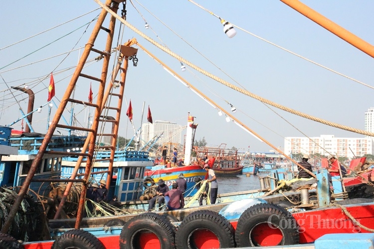 Những chuyến tàu bội thu khép lại năm “biển thuận” nhung chuyen tau boi thu khep lai nam bien thuan