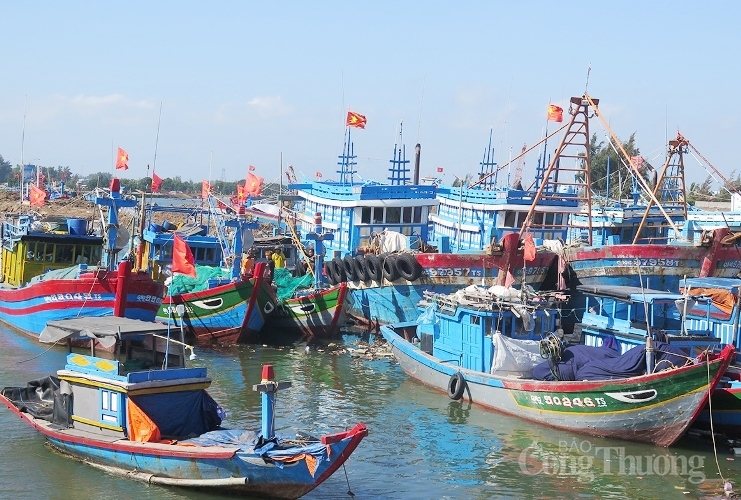 Tuân thủ IUU- Giấy thông hành cho thủy sản Việt vào thị trường EU muon xuat khau thuy san vao thi truong eu phai tuan thu quy dinh cua ec ve iuu