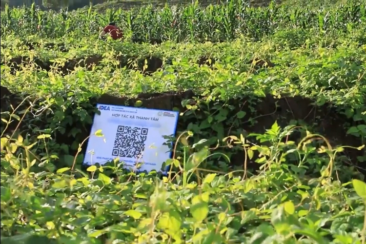 Okvip tại về còn “trăn trở” về blockchain trong truy xuất nguồn gốc sản phẩm doanh nghiep con tran tro ve blockchain trong truy xuat nguon goc san pham
