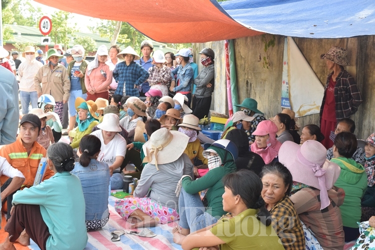da nang cong bo quy hoach 1500 nha may xu ly rac khanh son