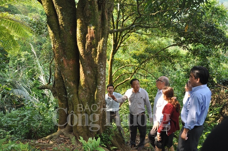 tu san pham khoi nghiep tro thanh san pham thuong mai dac trung cua da nang