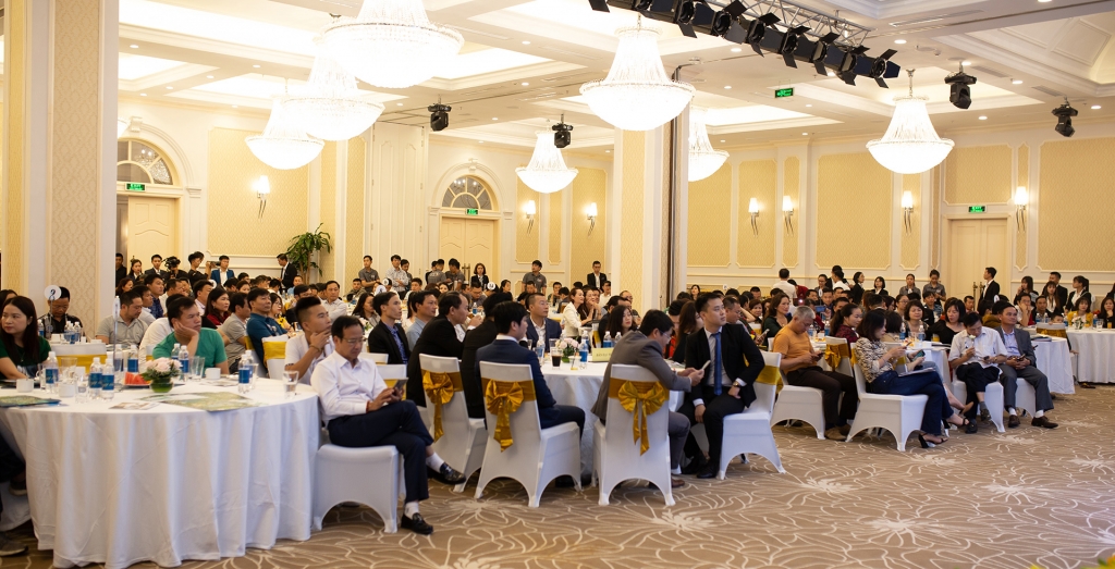 Ra mắt dự án KĐT Dream Homes nằm ngay trung tâm thành phố Đồng Hới ra mat du an kdt dream homes nam ngay trung tam thanh pho dong hoi