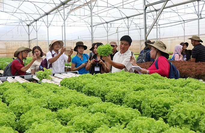 Hà Nội nâng cao năng lực điều hành phát triển hợp tác xã ha noi nang cao nang luc dieu hanh phat trien hop tac xa