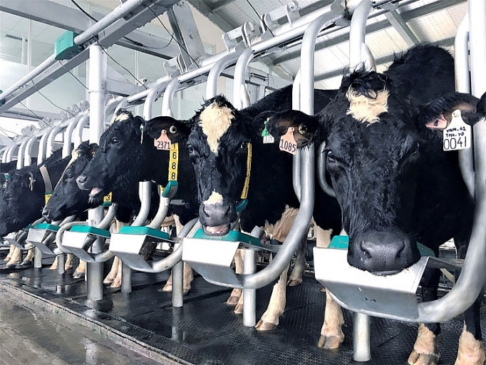 Vinamilk: 23 năm chinh phục niềm tin người tiêu dùng Việt Nam vinamilk 23 namchinh phuc niem tin nguoi tieu dung viet nam