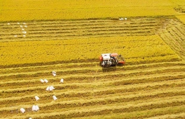 Ứng phó hạn, xâm nhập mặn mùa khô 2021-2022 ở Đồng bằng sông Cửu Long hình ảnh 1 Ung pho han, xam nhap man mua kho 2021-2022 o Dong bang song Cuu Long hinh anh 1