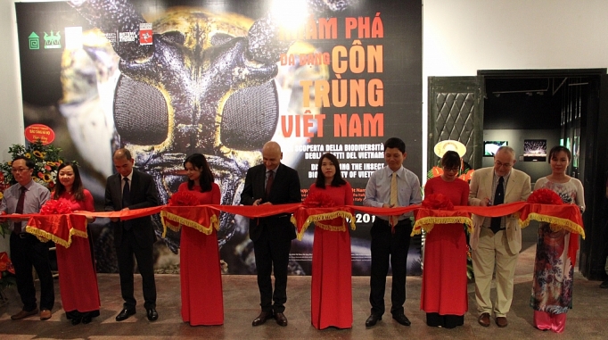 Nhiều hoạt động triển lãm hưởng ứng Ngày quốc tế Bảo tàng năm 2019 nhieu hoat dong trien lam huong ung ngay quoc te bao tang nam 2019