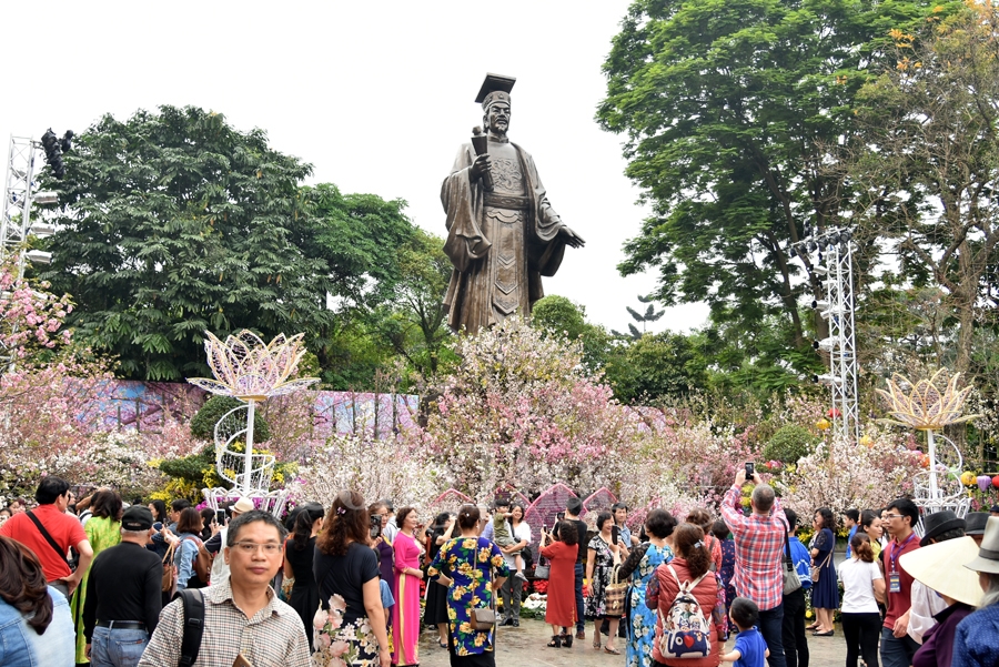 hap dan le hoi hoa anh dao nhat ban ha noi 2019