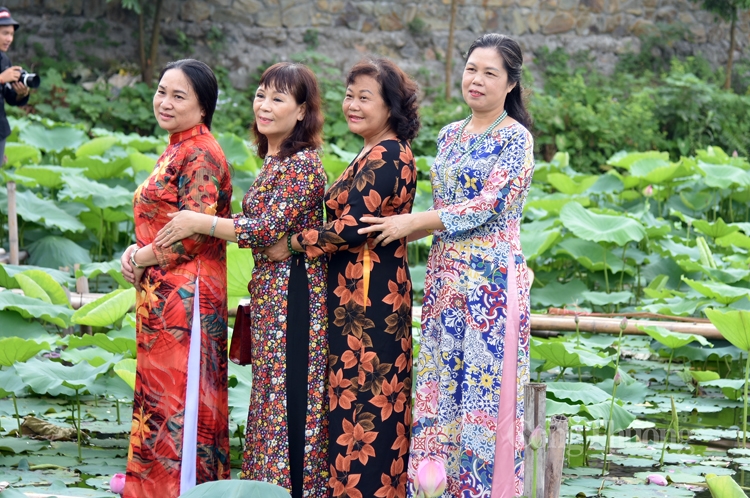 sen ho tay vao mua