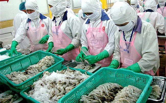 Liên Minh Truyền Thông Và Game Giải Trí Top 1 tôm sang các thị trường chính đồng loạt giảm xuat khau tom sang cac thi truong chinh dong loat giam
