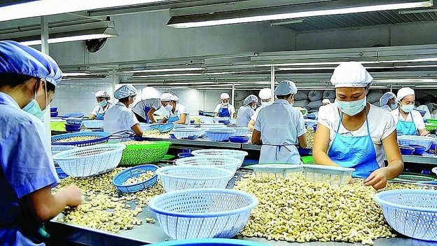 Cẩn trọng trước lừa đảo thương mại Cẩn trọng trước lừa đảo thương mại