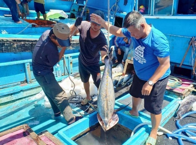 Vietnam fulfills international commitments as EVFTA takes effect viet nam news economy viet nam fulfills international commitments as evfta takes effect