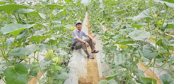 Đà Nẵng: “Hot” xu hướng kinh doanh Trang Chủ OKVIP COM Top #1 sạch online