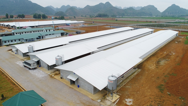 BlueScope Lysaght expands business in Northern market bluescope lysaght expands business in northern market