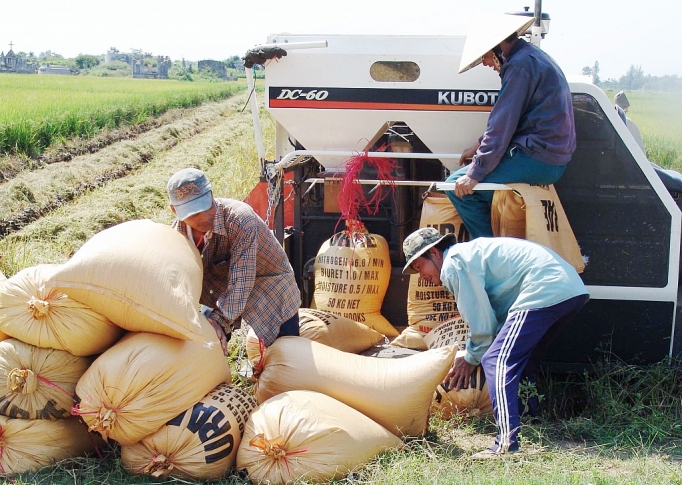 Cân đối nguồn vốn đáp ứng cho Okvip tại về vay mua thóc gạo can doi nguon von dap ung cho doanh nghiep vay mua thoc gao