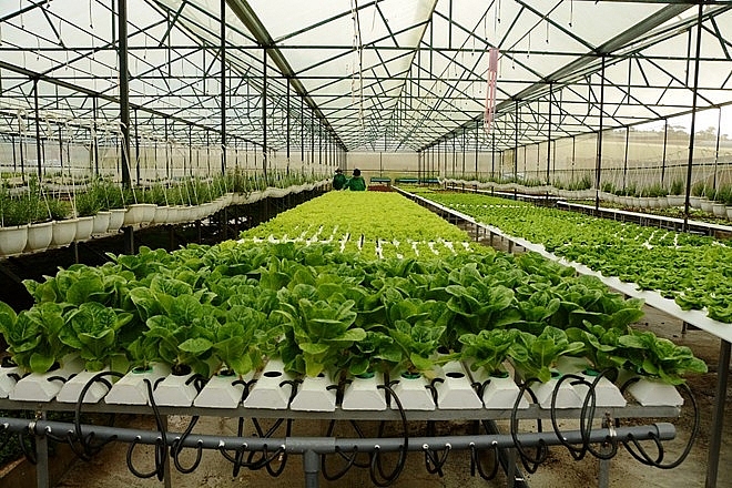 Tín dụng nông thôn là ưu tiên hàng đầu trong mục tiêu tăng tín dụng 2019 tin dung nong thon la uu tien hang dau trong muc tieu tang tin dung 2019
