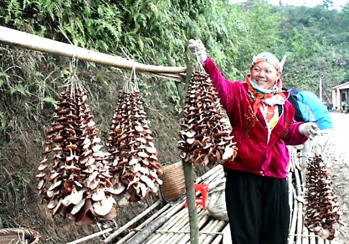 Bắc Kạn: Ký hợp đồng tiêu thụ Trang Chủ OKVIP COM Top #1 với Big C ky hop dong tieu thu nong san voi big c