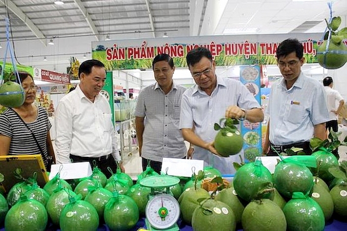 “Sản phẩm OCOP - Tiềm năng và phát triển” san pham ocop tiem nang va phat trien