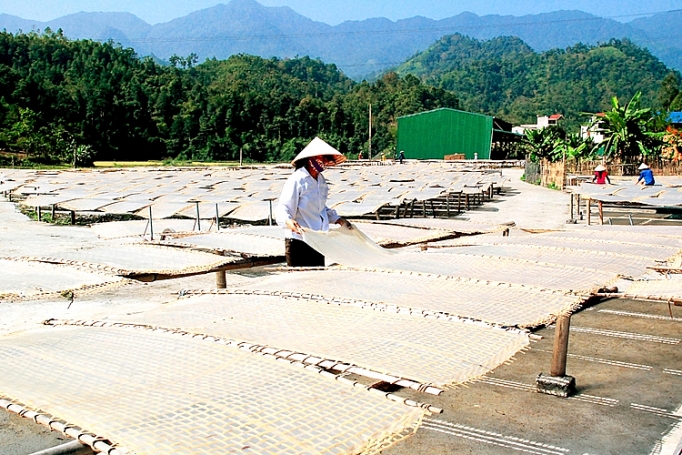 Cơ hội để phụ nữ cải thiện sản xuất và mở rộng kinh doanh co hoi de phu nu cai thien san xuat va mo rong kinh doanh