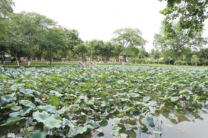 Huyện nông thôn mới kiểu mẫu huyen nong thon moi kieu mau